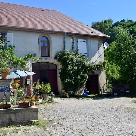 La Tour-du-Meix Spacious Apartment In Old Farm Close To Lac De Vouglans מראה חיצוני תמונה