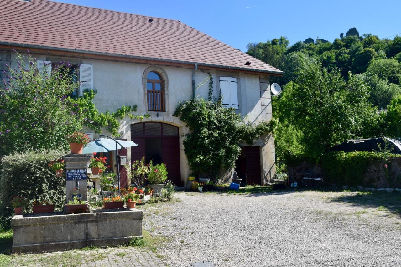 La Tour-du-Meix Spacious Apartment In Old Farm Close To Lac De Vouglans מראה חיצוני תמונה